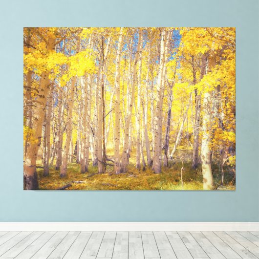 Golden Aspen Forest Canvas Afdruk (Insitu (Houten vloer))