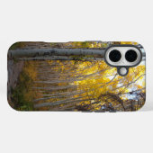 Golden Aspen Trees Case-Mate iPhone Case (Achterkant (horizontaal))