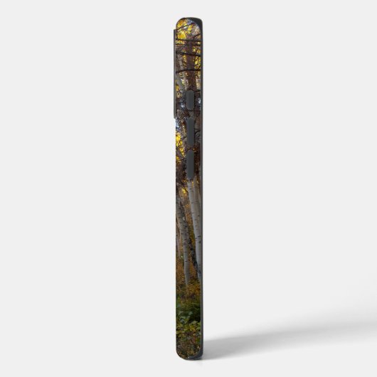 Golden Aspen Trees Case-Mate iPhone Case (Achterkant / Links)