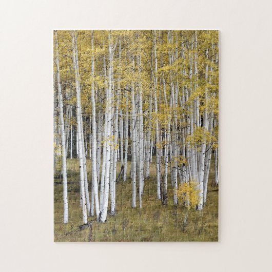 Golden Aspen Trees Puzzle Legpuzzel (Verticaal)