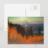 Golden Aspens boven de Snake-rivier op de zon Briefkaart (Voorkant / Achterkant)