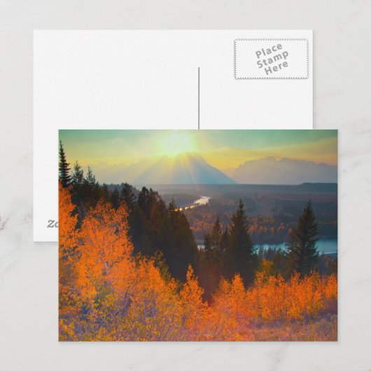 Golden Aspens boven de Snake-rivier op de zon Briefkaart (Voorkant / Achterkant)