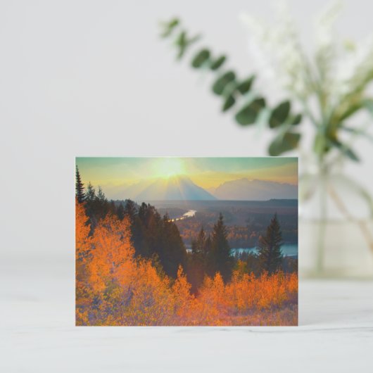 Golden Aspens boven de Snake-rivier op de zon Briefkaart (Staand voorkant)