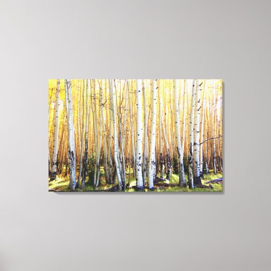 Golden Aspens Canvas Print (Voorkant)
