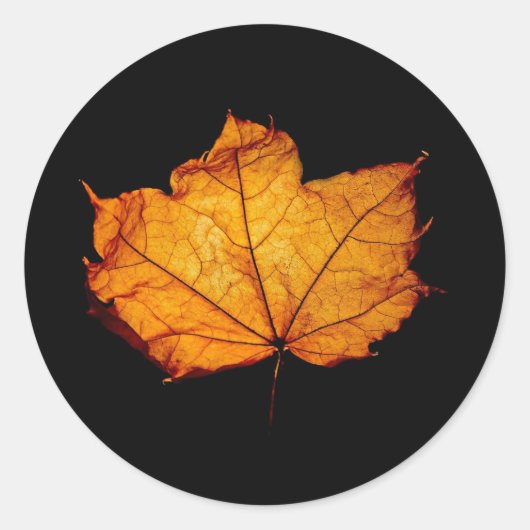 Golden Autumn Leaf Ronde Sticker (Voorkant)