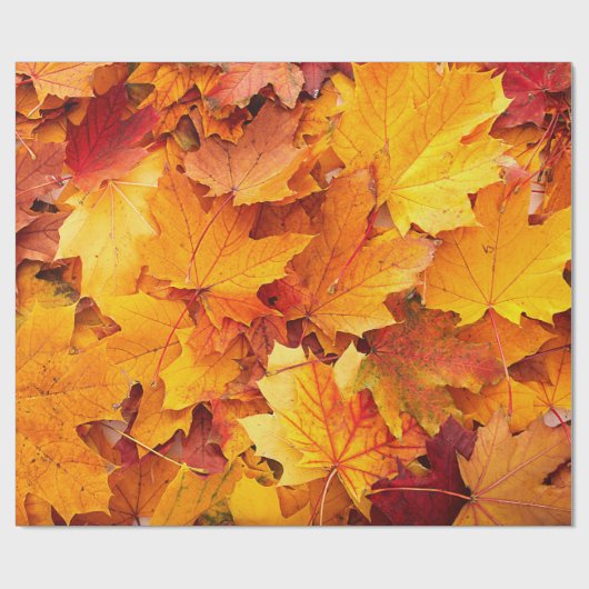 Golden Autumn Maple Leaves Cadeaupapier (Vlak)