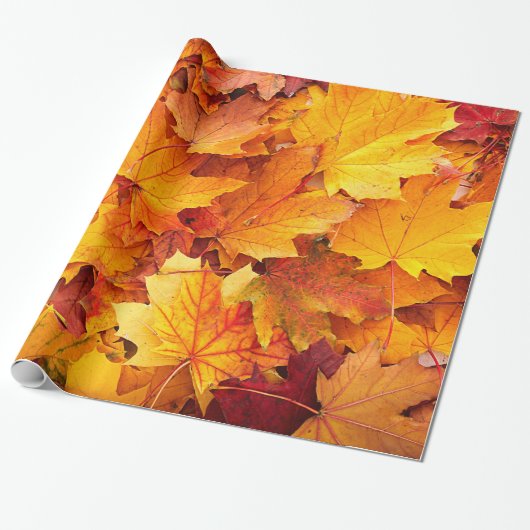 Golden Autumn Maple Leaves Cadeaupapier (Uitgerold)