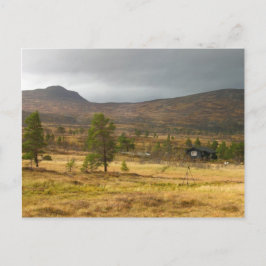 Golden Autumn op een Noorse bergplateau Briefkaart