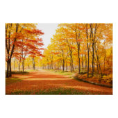 Golden Autumn Tree-lined Path Poster (Voorkant)