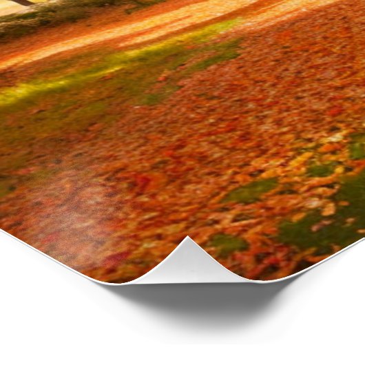 Golden Autumn Tree-lined Path Poster (Hoek)