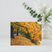 Golden Autumn Trees Briefkaart (Staand voorkant)