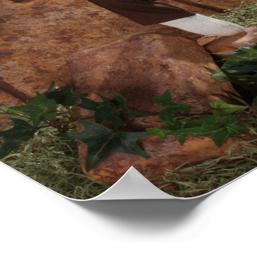 Golden Banana Poster (Hoek)