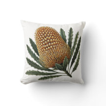 Golden Banksia Botanical Australische inheemse blo