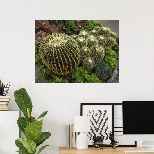 GOLDEN BARREL CACTI POSTER (Thuiskantoor)
