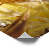 Golden Barrel Cactus Flower, print (Hoek)