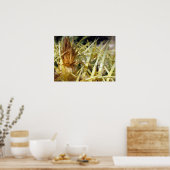 Golden Barrel Cactus Flower, print (Keuken)