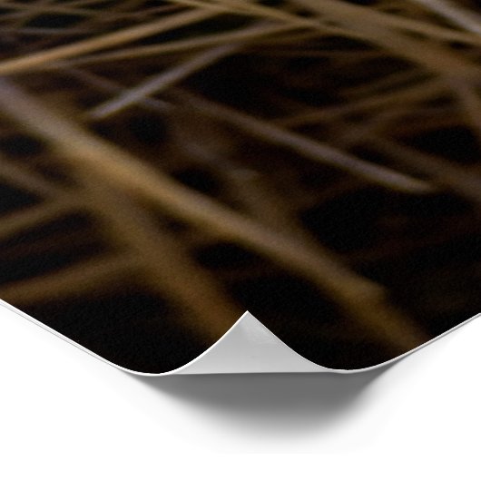 Golden Barrel Cactus Poster (Hoek)