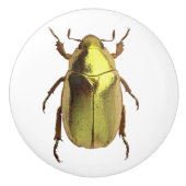 Golden Beetle Ceramic Knob Keramische Knop (Voorkant)