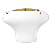 Golden Beetle Ceramic Knob Keramische Knop (Zijkant)