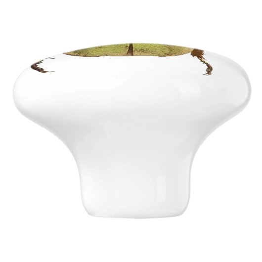 Golden Beetle Ceramic Knob Keramische Knop (Zijkant)