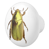 Golden Beetle Ceramic Knob Keramische Knop (Rechts)