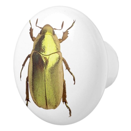 Golden Beetle Ceramic Knob Keramische Knop (Rechts)