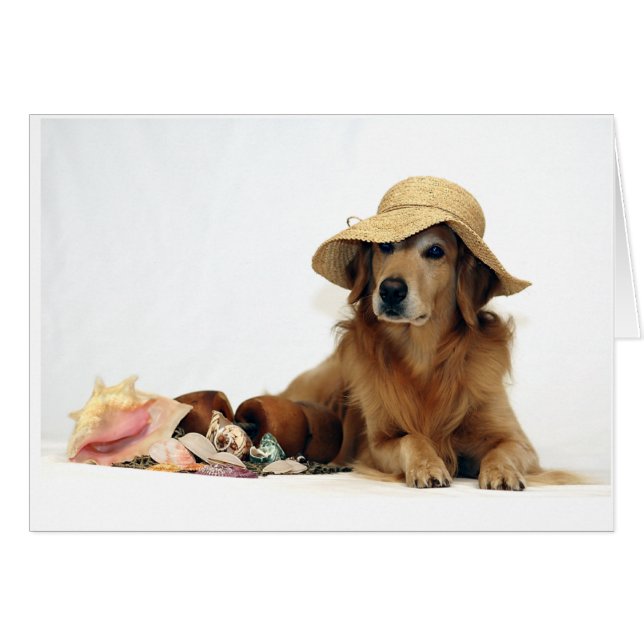 Golden bij de Beach (Voorkant Horizontaal)