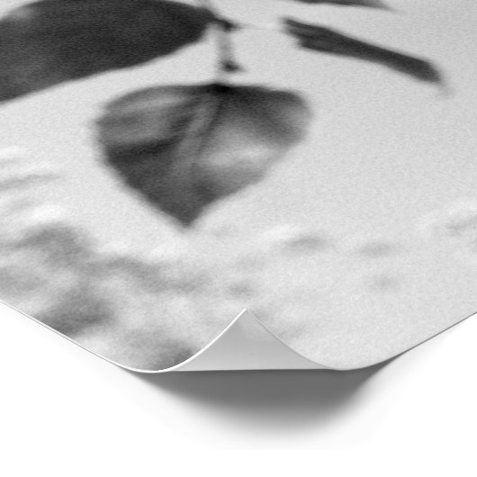 Golden Birch - Prints voor fijne fotografie (Hoek)