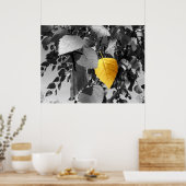 Golden Birch - Prints voor fijne fotografie (Keuken)