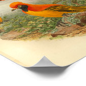 Golden Bird of Paradise Red Yellow Print (Hoek)