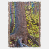 Golden bladeren op de westvorkstrook deken (Voorkant Verticaal)