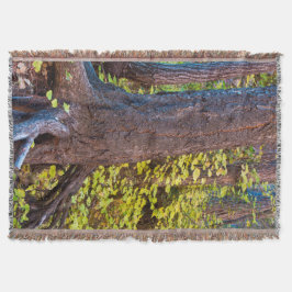 Golden bladeren op de westvorkstrook deken