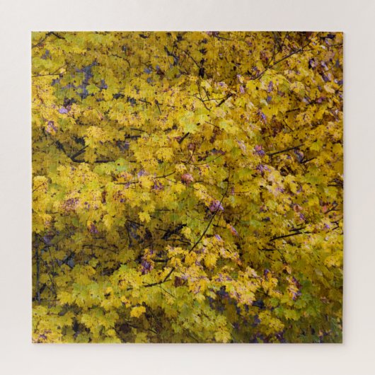 Golden bladeren van Herfst - 20x20 inch Legpuzzel (Verticaal)