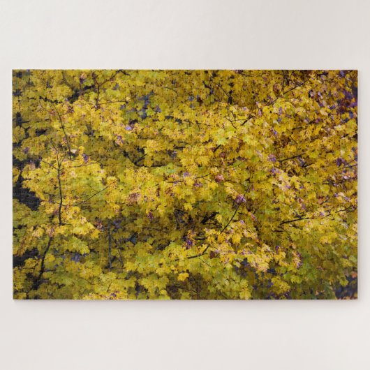 Golden bladeren van Herfst - 20x30 inch Legpuzzel (Horizontaal)