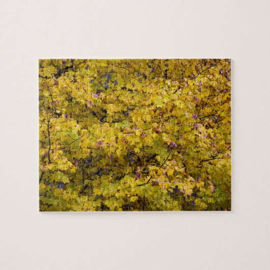 Golden bladeren van Herfst - 8 x 10 inch Legpuzzel (Horizontaal)