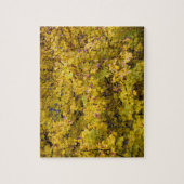 Golden bladeren van Herfst - 8 x 10 inch Legpuzzel (Verticaal)