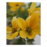 Golden Bloom Macro – Gele Wildflower Fotografie
