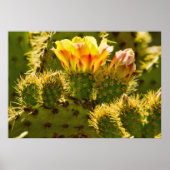 Golden Bloom Poster (Voorkant)