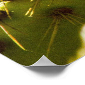 Golden Bloom Poster (Hoek)