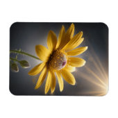 Golden Bloom – Yellow Flower Macro Photography  Magneet (Horizontaal)