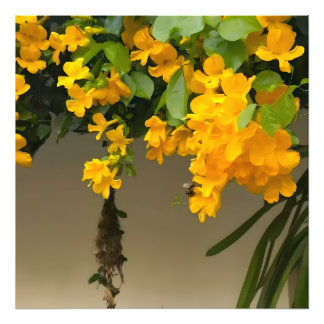 Golden Blossom Beauty Foto Afdruk