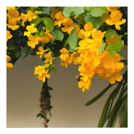 Golden Blossom Beauty Foto Afdruk (Voorkant)