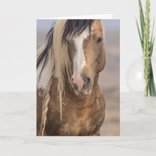 "Golden Boy"-briefkaart Kaart (Voorkant)