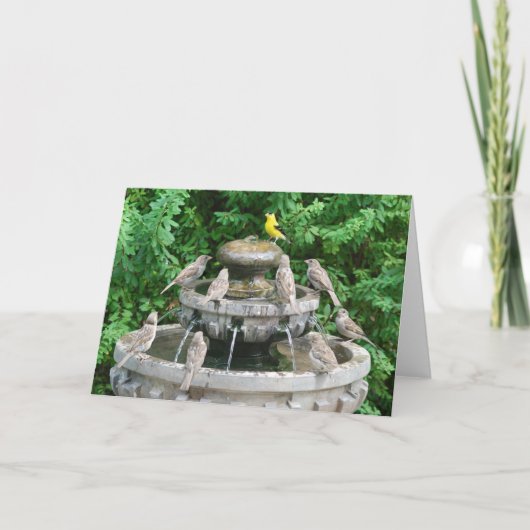 Golden Boy Kaart (Voorkant)