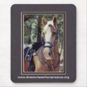 Golden Boy Muismat (Voorkant)