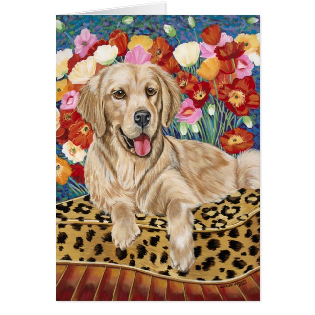 Golden Boy Retriever (Voorkant)