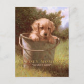 GOLDEN BRIEFKAART (Voorkant)