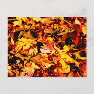 Golden Brown Autumn Leaves Briefkaart