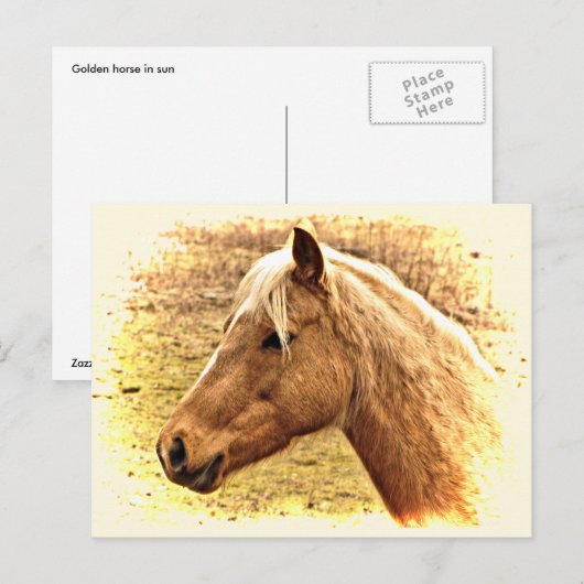 Golden Brown Horse in Sun Animal Briefkaart (Voorkant / Achterkant)