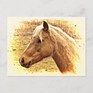Golden Brown Horse in Sun Animal Briefkaart